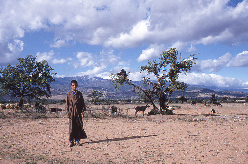 Morocco  : Travel : Photos :  Richard Moore Photography : Photographer : 